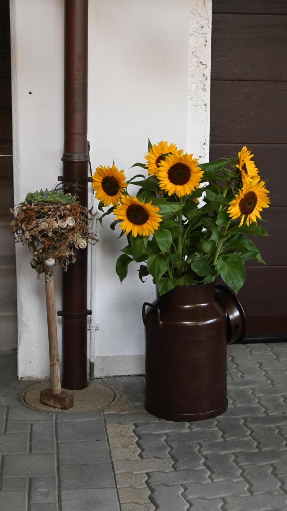 Sonnenblumen