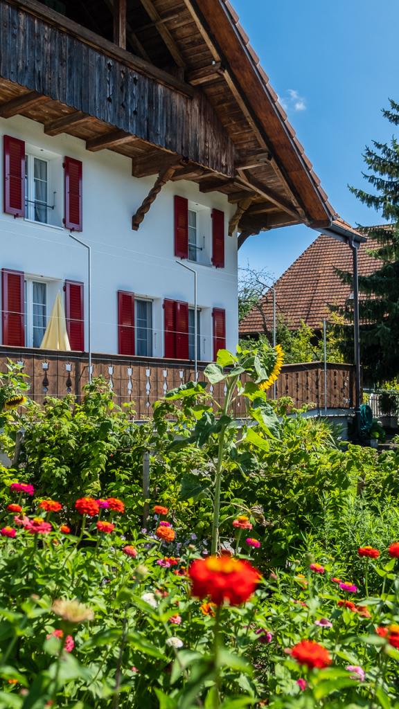 Ansicht Haus vom Garten aus im Vordergrund blühende Rote Blumen